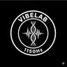 Vibe Lab 1150Hz, Recording artist