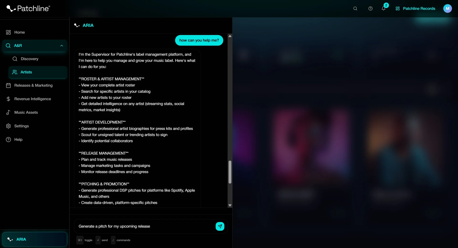 Pitch Agent Interface