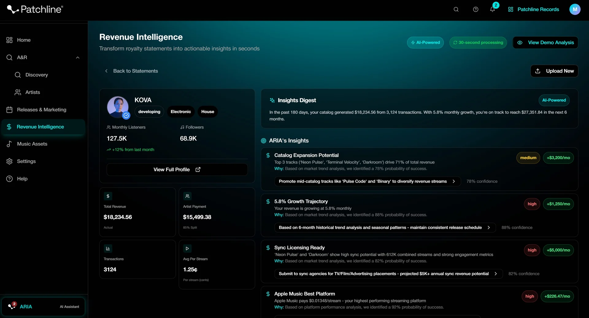 Revenue Intelligence Agent Interface